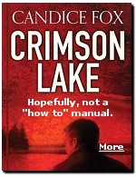 When the Clintons flew on a commercial airliner, Bill was caught reading a fiction �rape� thriller in flight.
